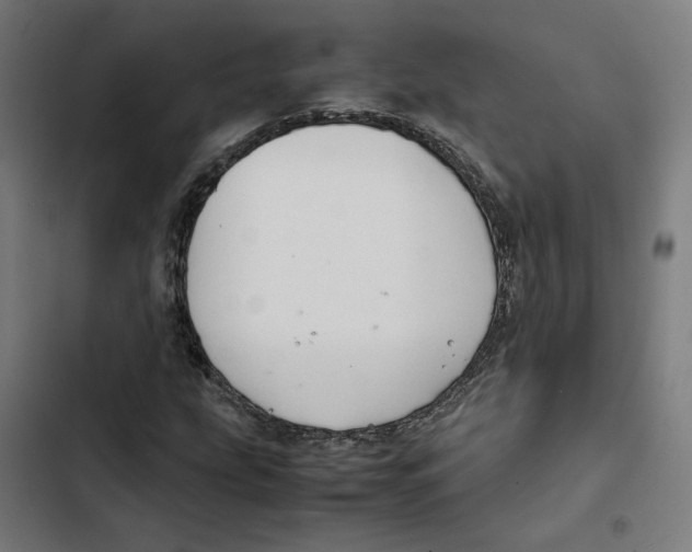 X0000102511207200809051402