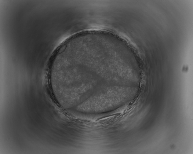 X0000102511208200809051402
