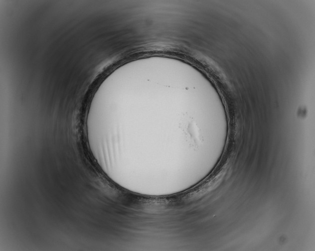 X0000102511210200809051402