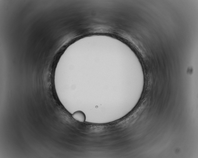 X0000102511211200809051402