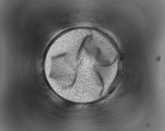 X0000102511212200809051402