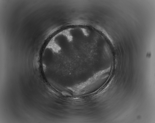 X0000102511213200809051402