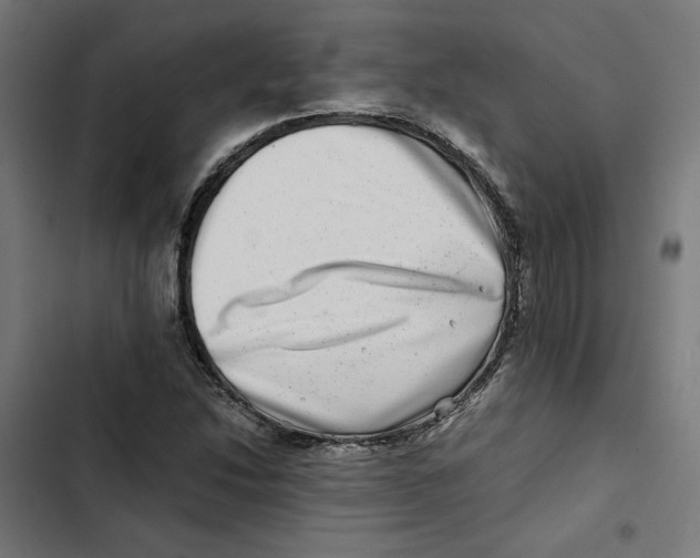 X0000102511214200809051402