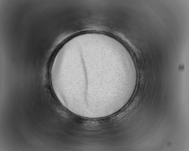 X0000102511215200809051402