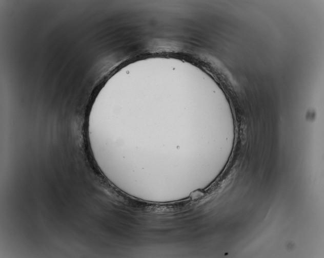 X0000102511217200809051402