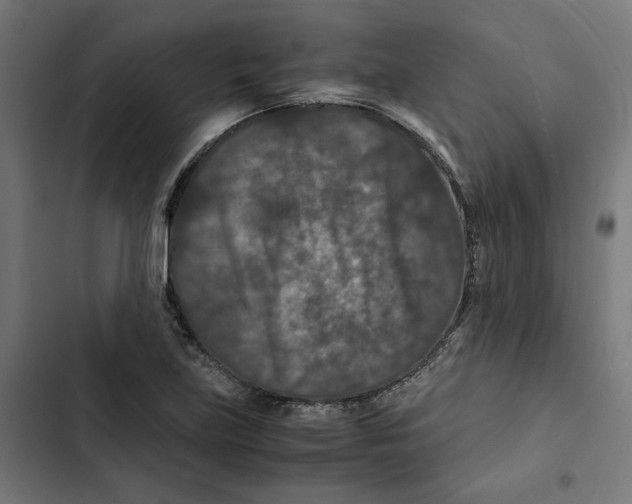 X0000102511219200809051402
