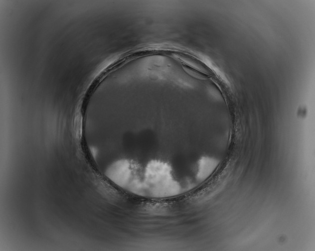 X0000102511221200809051402