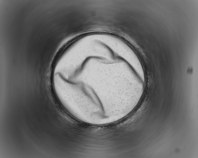 X0000102511222200809051402