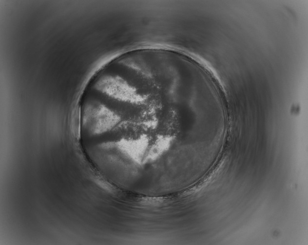 X0000102511223200809051402