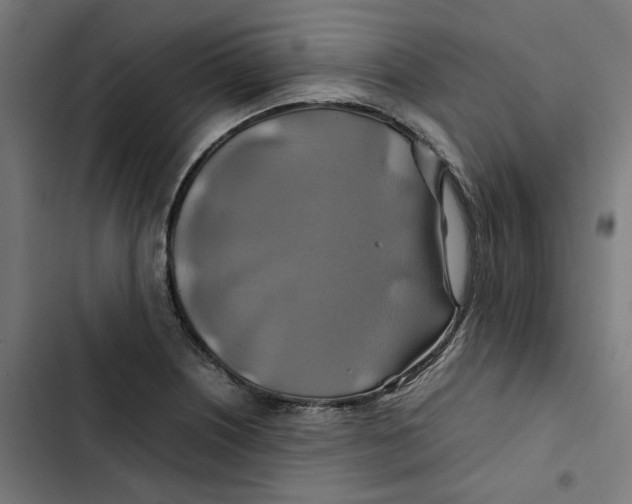 X0000102511226200809051402