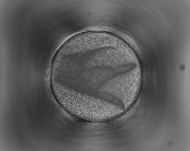 X0000102511228200809051402