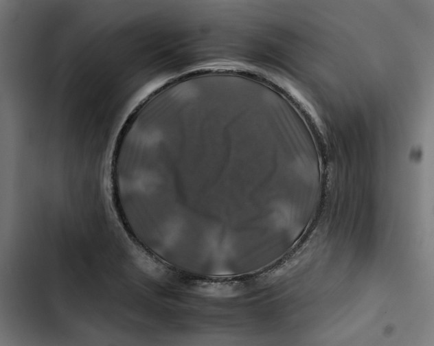 X0000102511229200809051402