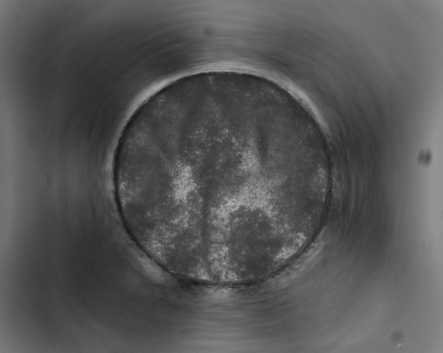 X0000102511230200809051402
