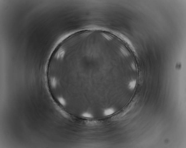 X0000102511231200809051402