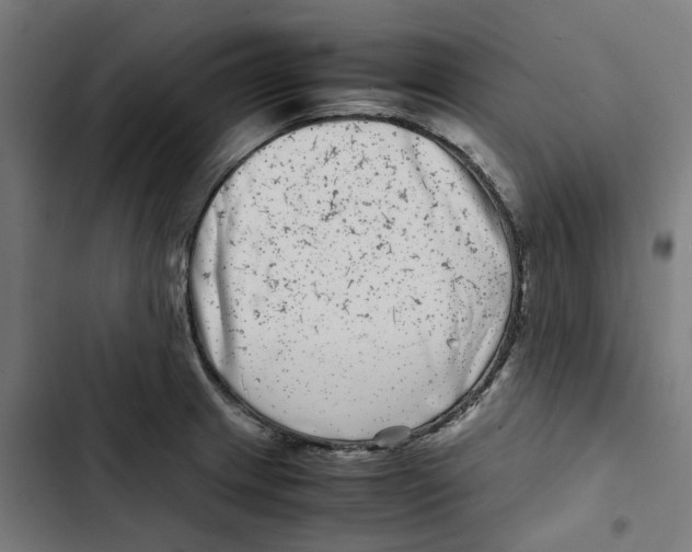 X0000102511233200809051402