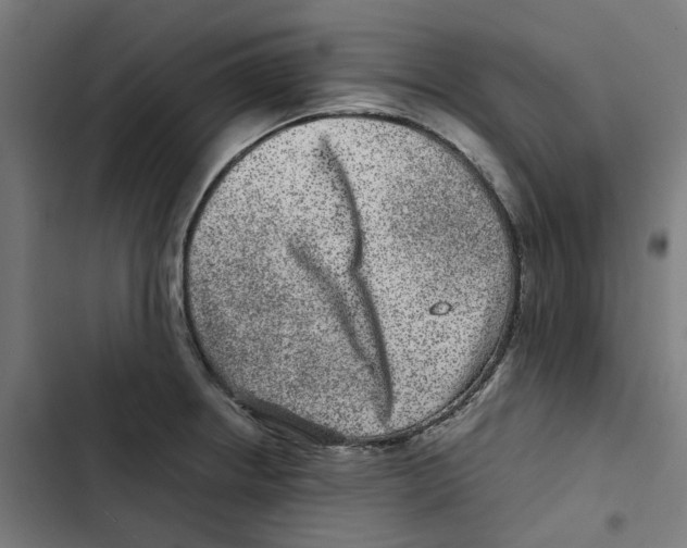 X0000102511234200809051402