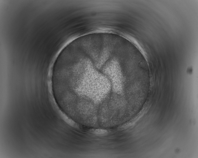 X0000102511235200809051402