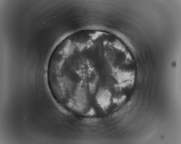 X0000102511237200809051402