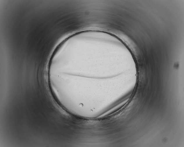 X0000102511238200809051402