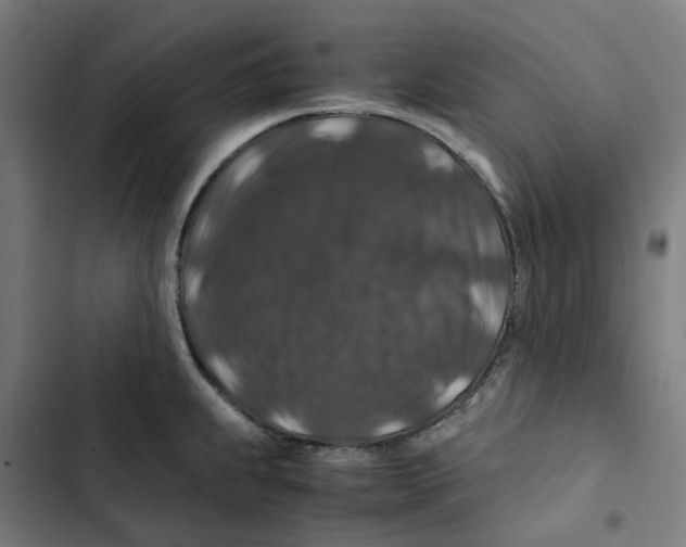 X0000102511239200809051402
