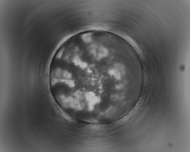 X0000102511240200809051402