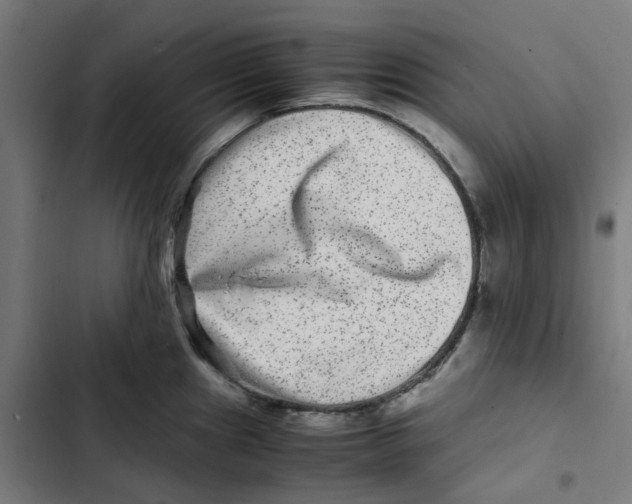 X0000102511241200809051402