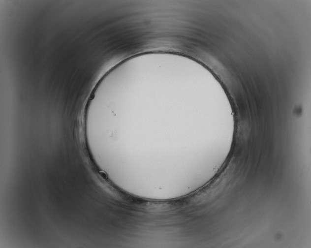 X0000102511242200809051402