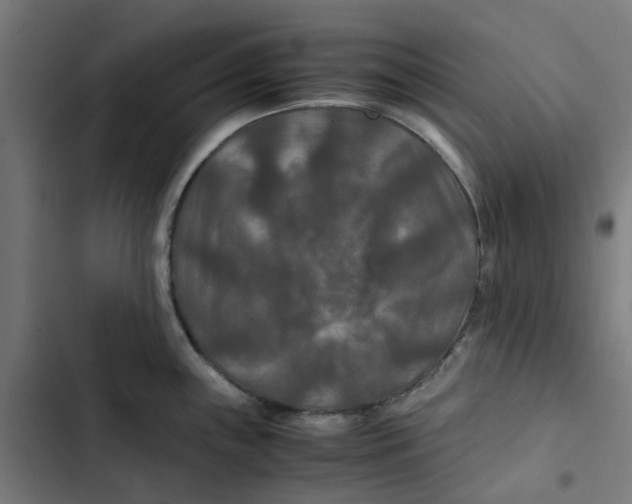 X0000102511243200809051402