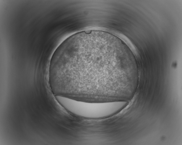 X0000102511244200809051402