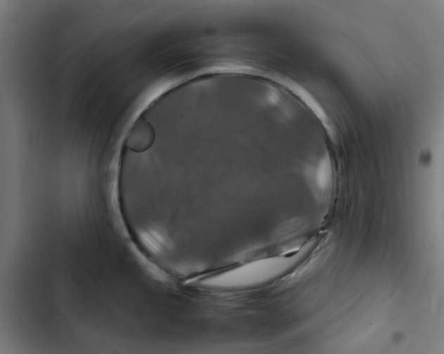 X0000102511245200809051402