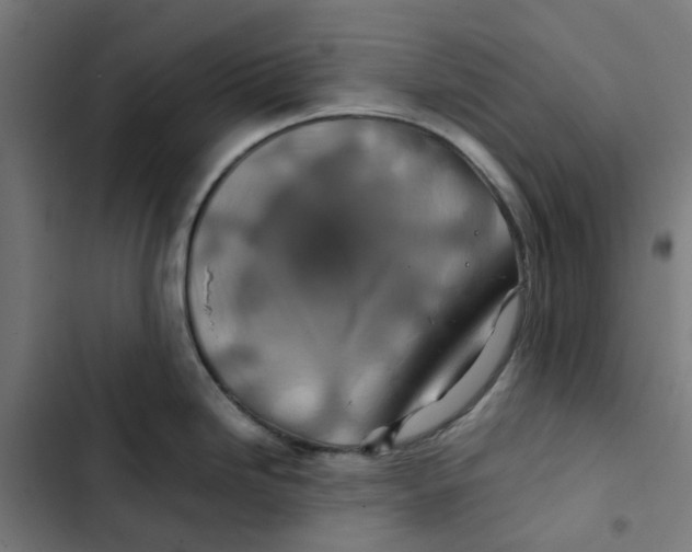 X0000102511246200809051402
