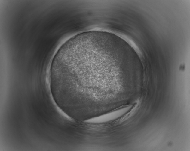 X0000102511247200809051402