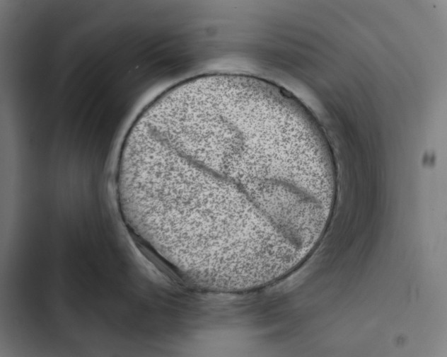 X0000102511248200809051402