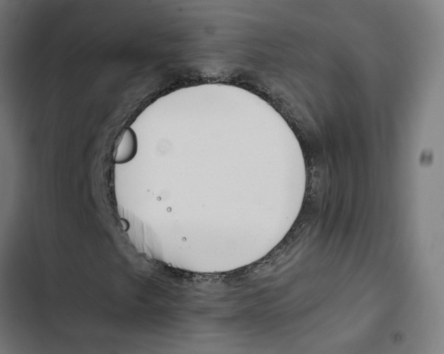 X0000102511249200809051402