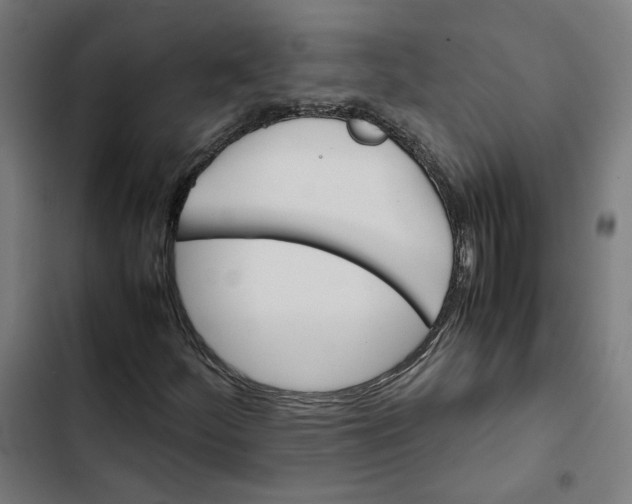 X0000102511252200809051402