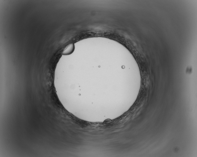 X0000102511253200809051401