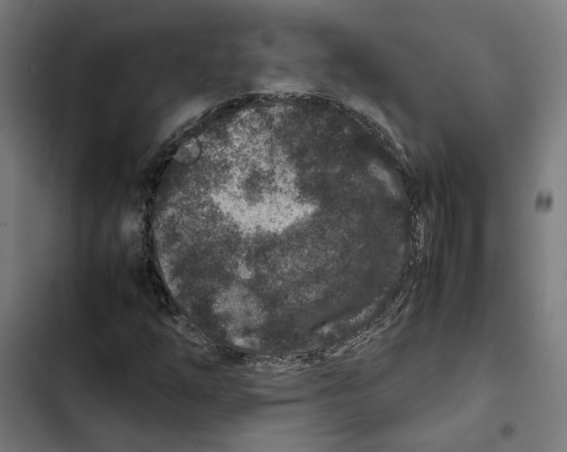 X0000102511254200809051401