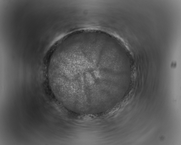 X0000102511255200809051401