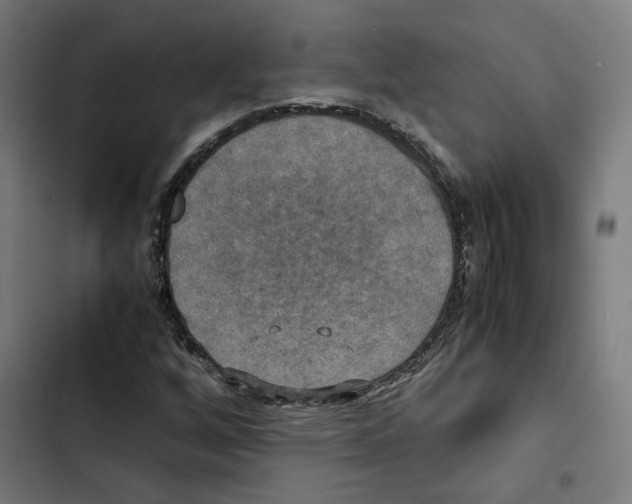 X0000102511256200809051401