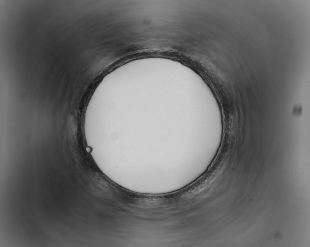 X0000102511257200809051401