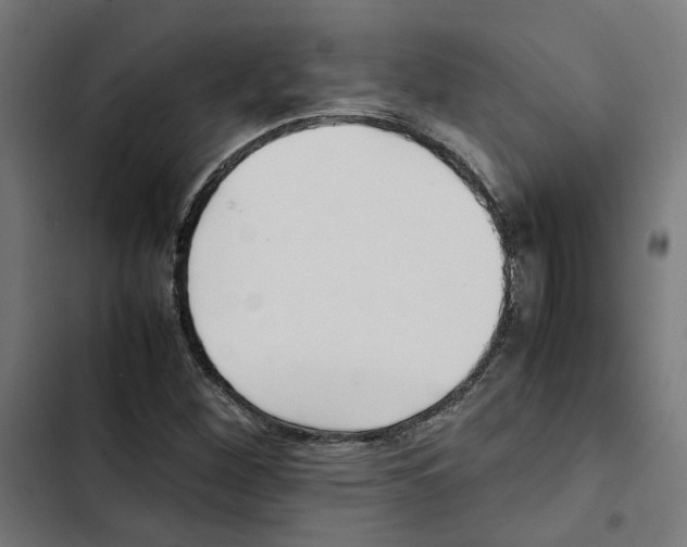 X0000102511260200809051401