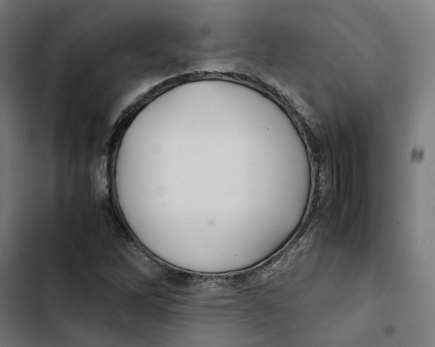 X0000102511262200809051401
