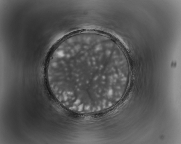 X0000102511263200809051401