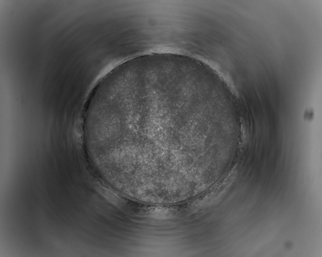 X0000102511266200809051401