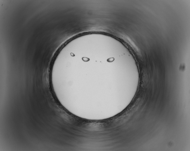 X0000102511268200809051401