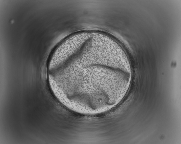 X0000102511269200809051401