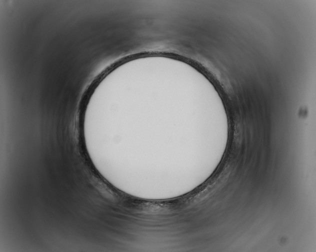 X0000102511270200809051401