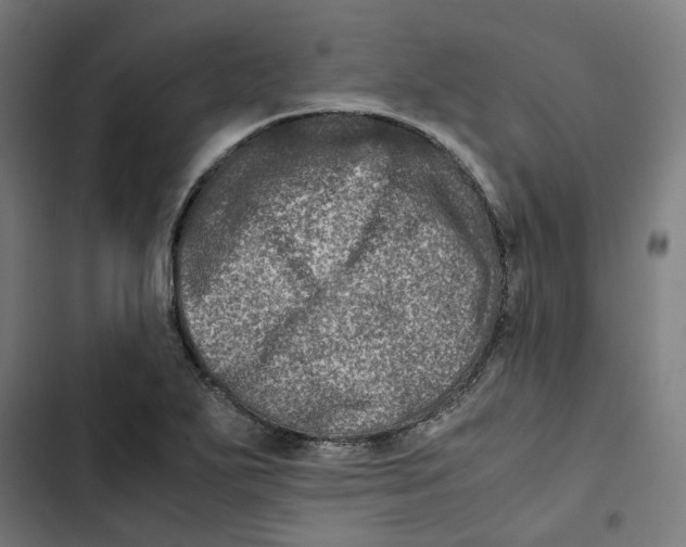 X0000102511271200809051401