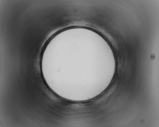 X0000102511272200809051401