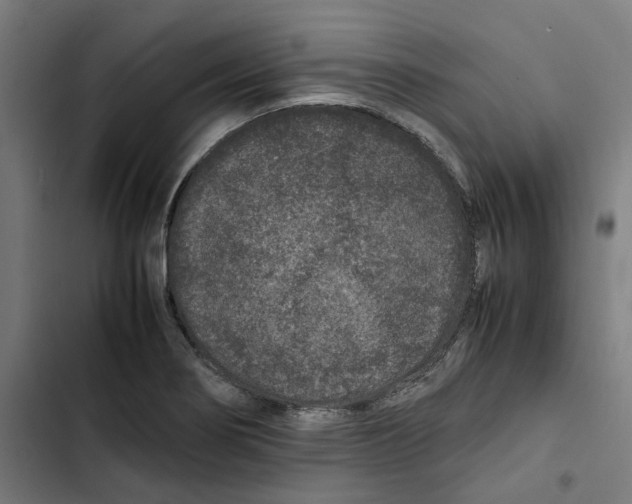 X0000102511274200809051401